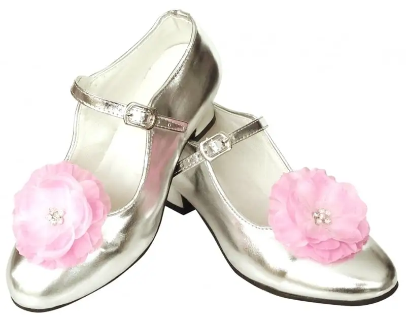 Prinsessen Schoenen Zilver Bloem + Gratis Kadootje 1 Prinsessen Schoenen Zilver Bloem + Gratis Kadootje