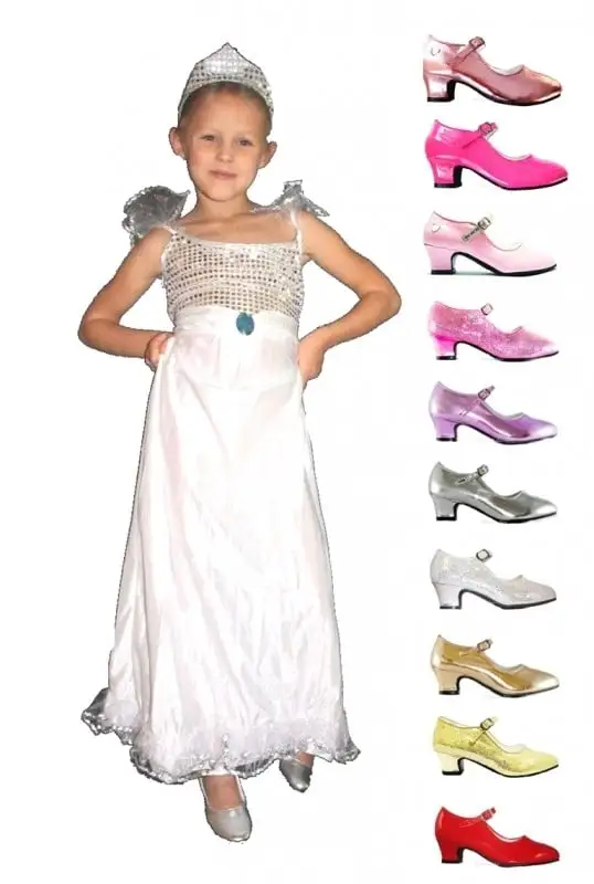 Prinsessenjurk Zilver Pakket 1 Prinsessenjurk Zilver Pakket