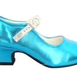 Prinsessen Schoenen Frozen + Gratis Kadootje