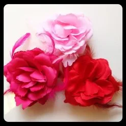 Prinses Roos Haarelastiek