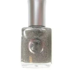 Zilveren Prinsessen Nagellak