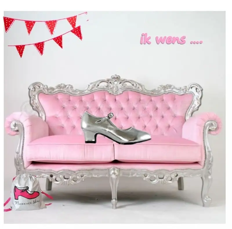 Prinsessen Schoenen Zilver + Gratis Kadootje 3 Prinsessen Schoenen Zilver + Gratis Kadootje - Afbeelding 3