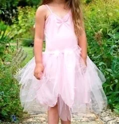 Lucy Locket Elfje Jurk Fairy Lichtroze