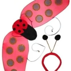 Lieveheersbeestje Jurk Pakket -Prinses Accessoires Winkel f58e89fd9cd79971f7bd7604bfa272df12bf344b 1