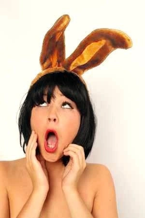 PartyXplosion Diadeem - Konijnenoren - Licht Bruin 2 PartyXplosion Diadeem - Konijnenoren - Licht Bruin - Afbeelding 2