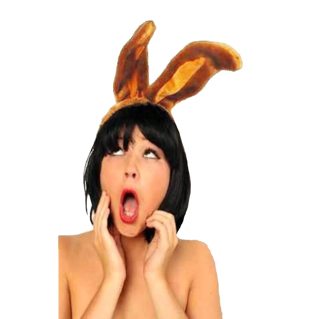 PartyXplosion Diadeem - Konijnenoren - Licht Bruin 1 PartyXplosion Diadeem - Konijnenoren - Licht Bruin