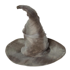 PartyXplosion Hoed - Heks - Zelda